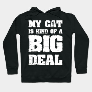 My Cat Is Kind Of A Big Deal Funny Joke Saying Hoodie